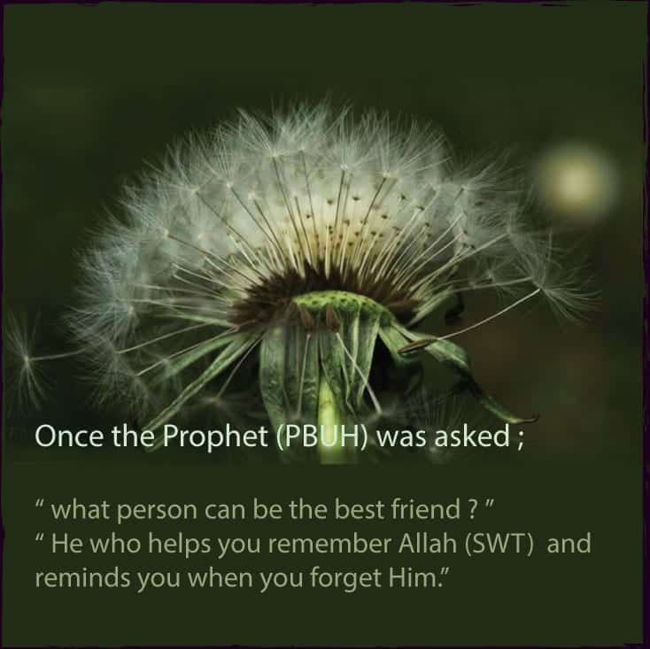 40 Best Islamic Quotes on Friendship -Value of Friendship  