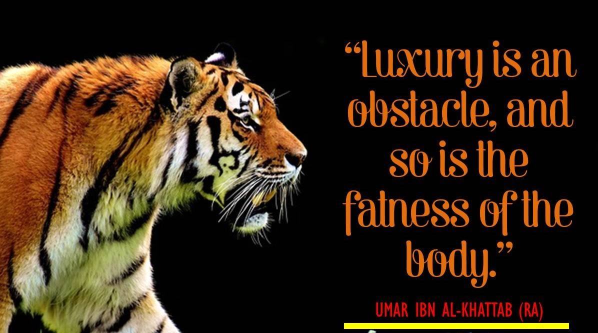 Hazrat Umar Farooq R.A Quotes-70+ Sayings of Umar Bin Khattab  