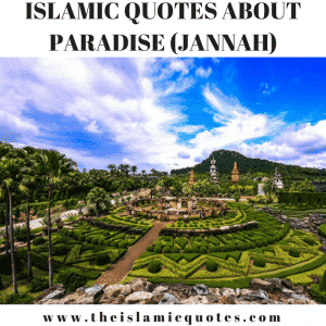 35+ Islamic Quotes On Paradise (Jannah)  