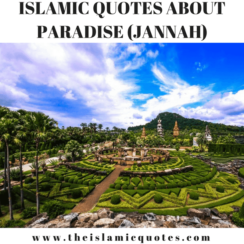 35+ Islamic Quotes On Paradise (Jannah)  