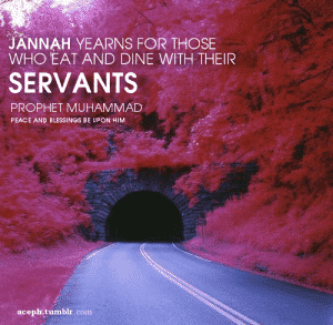 35+ Islamic Quotes On Paradise (Jannah)  