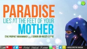 35+ Islamic Quotes On Paradise (Jannah)  