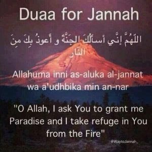 35+ Islamic Quotes On Paradise (Jannah)  