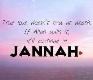 35+ Islamic Quotes On Paradise (Jannah)  