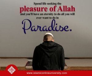 35+ Islamic Quotes On Paradise (Jannah)  