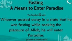 35+ Islamic Quotes On Paradise (Jannah)  