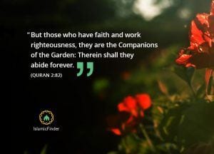 35+ Islamic Quotes On Paradise (Jannah)  