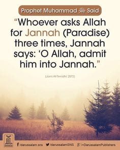 35+ Islamic Quotes On Paradise (Jannah)  