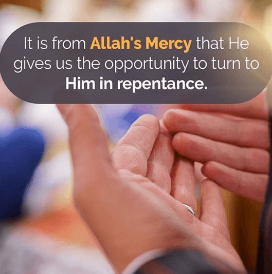 35+ Islamic Quotes On Paradise (Jannah)