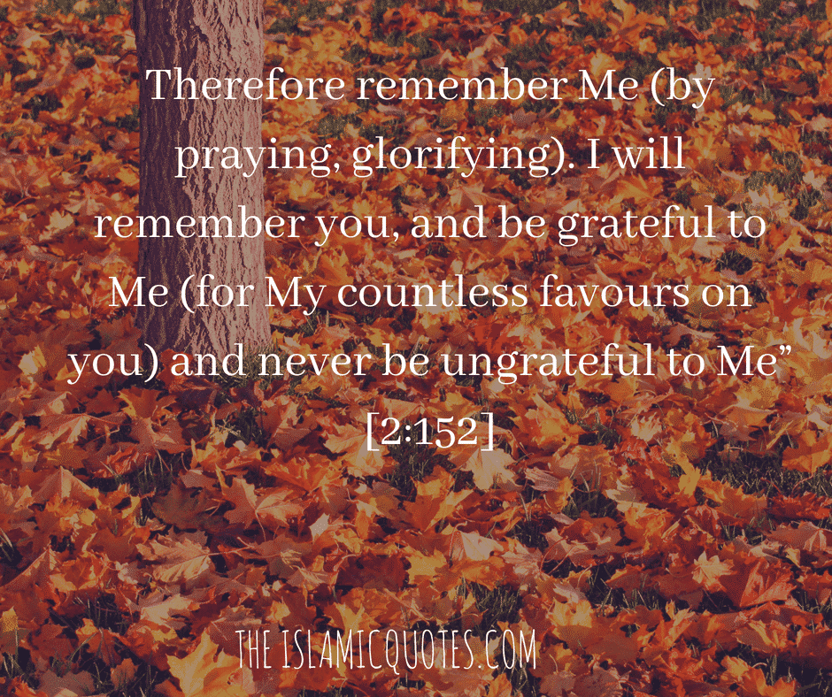 25 Beautiful Thanking Allah Quotes - Alhamdulillah Quotes
