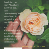 Alhamdulillah Quotes - 25 Beautiful Thanking Allah Quotes