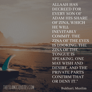 Zina in Islam - 30 Islamic Quotes about Zina and Punishment  