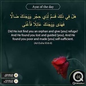 30 Best Islamic Quotes On Wealth - Quran on Money Matters  