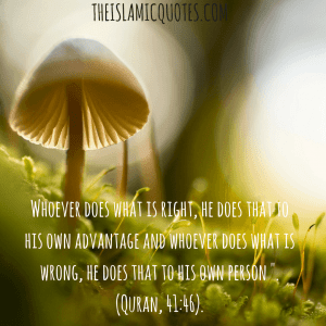 35+ Quotes on Judgment Day in Islam- Signs of Judgment Day