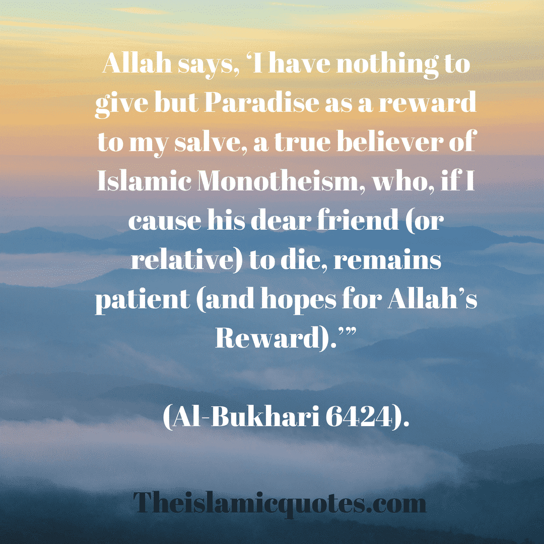 Sabr in Islam30 Beautiful Islamic Quotes on Sabr & Patience