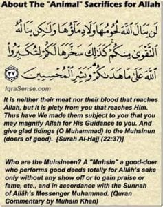30 Islamic Quotes on Qurbani/Sacrifice and Eid ul Adha 30 Islamic Quotes on Qurbani/Sacrifice and Eid ul Adha