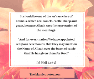 30 Islamic Quotes on Qurbani/Sacrifice and Eid ul Adha  