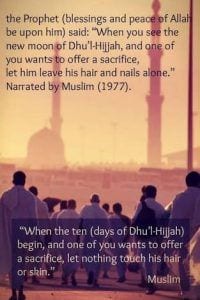 30 Islamic Quotes on Qurbani/Sacrifice and Eid ul Adha  