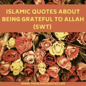 Gratitude Quotes - 23 Islamic Quotes About Being Grateful  