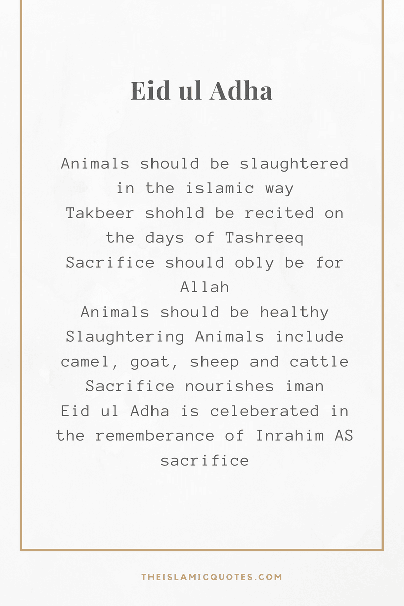 30 Islamic Quotes on Qurbani/Sacrifice and Eid ul Adha  