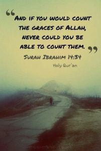 Islamic Quotes About Gratefulness (22)