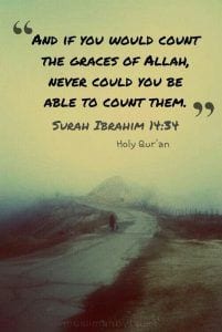 Gratitude Quotes - 23 Islamic Quotes About Being Grateful  