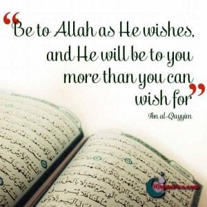 Islamic Quotes About Gratefulness (5)