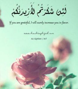 Islamic Quotes About Gratefulness (21)