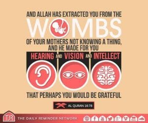 Islamic Quotes About Gratefulness (16)