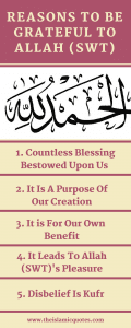 Gratitude Quotes - 23 Islamic Quotes About Being Grateful  