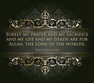 30 Islamic Quotes on Qurbani/Sacrifice and Eid ul Adha 30 Islamic Quotes on Qurbani/Sacrifice and Eid ul Adha