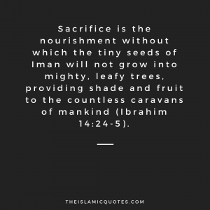 30 Islamic Quotes on Qurbani/Sacrifice and Eid ul Adha