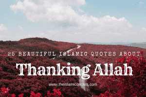 Alhamdulillah Quotes – 25 Beautiful Thanking Allah Quotes
