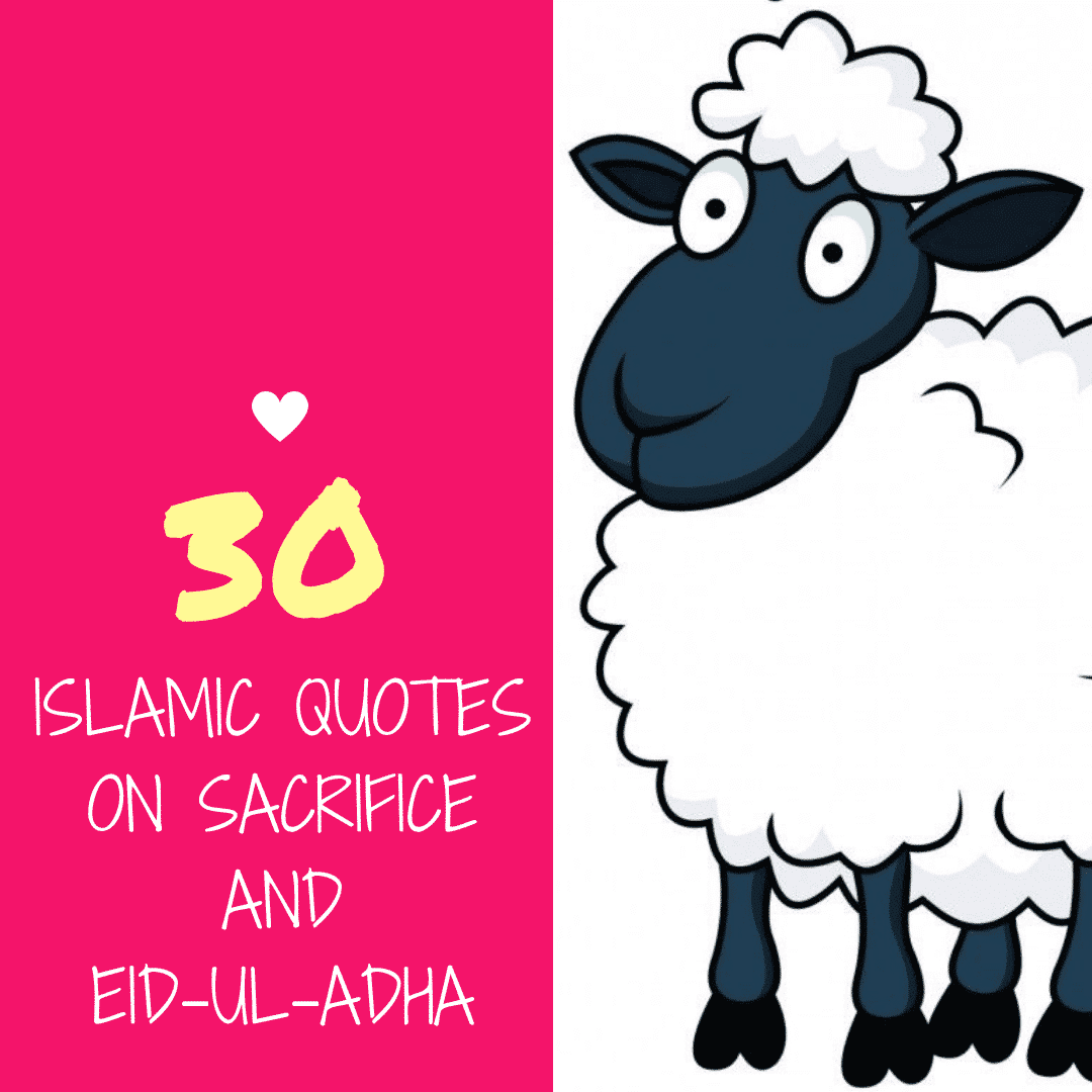 30 Islamic Quotes on Qurbani/Sacrifice and Eid ul Adha  