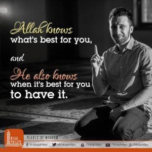 35 Best Islamic & Motivational Quotes By Bilal Philips  