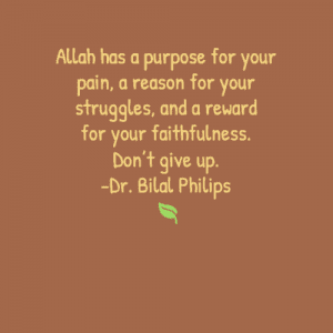 35 Best Islamic & Motivational Quotes By Bilal Philips  