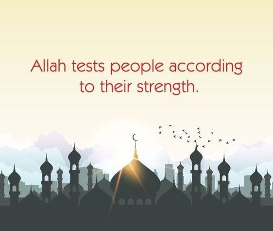 Islamic Quotes On Sickness (8)