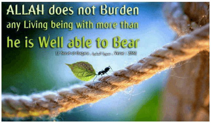 Islamic Quotes On Sickness (6)