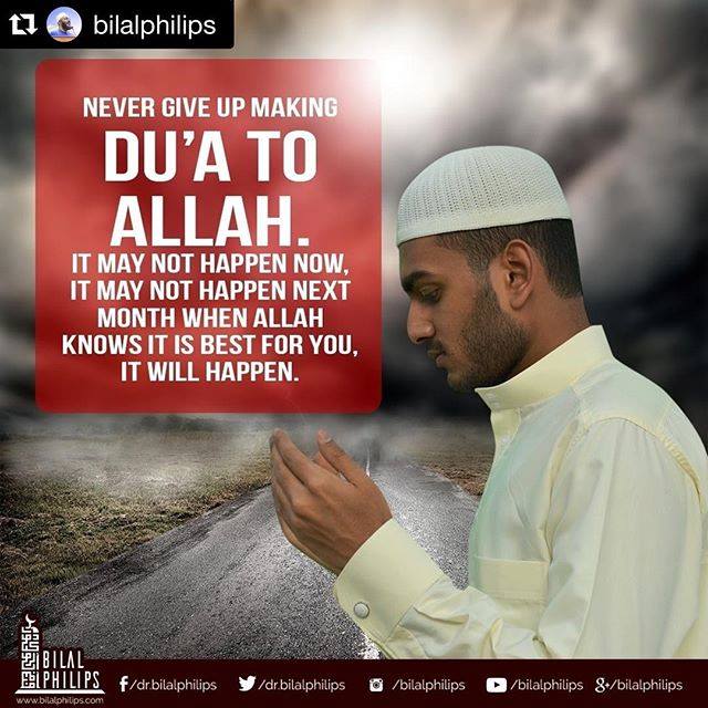 35 Best Islamic & Motivational Quotes By Bilal Philips  