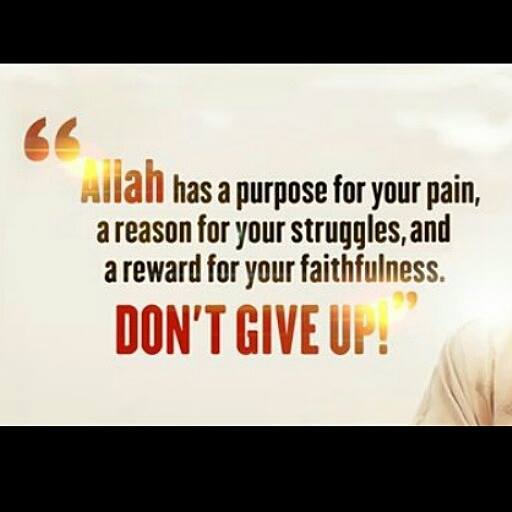 35 Best Islamic & Motivational Quotes By Bilal Philips  