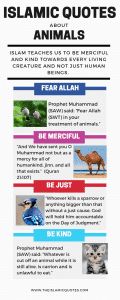 20 Islamic Quotes On Kindness To Animals  