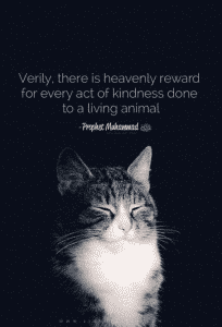 20 Islamic Quotes On Kindness To Animals  