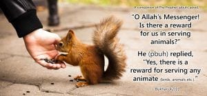 20 Islamic Quotes On Kindness To Animals  