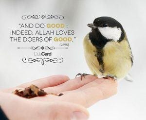 20 Islamic Quotes On Kindness To Animals  