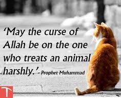 20 Islamic Quotes On Kindness To Animals  