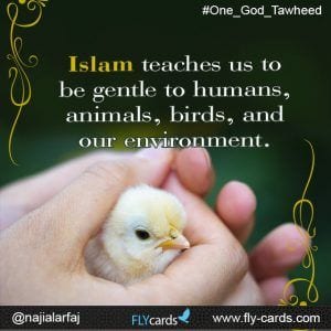 20 Islamic Quotes On Kindness To Animals  