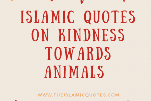 20 Islamic Quotes On Kindness To Animals
