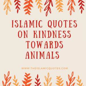 20 Islamic Quotes On Kindness To Animals