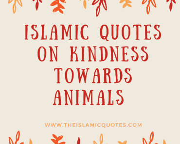 20 Islamic Quotes On Kindness To Animals  