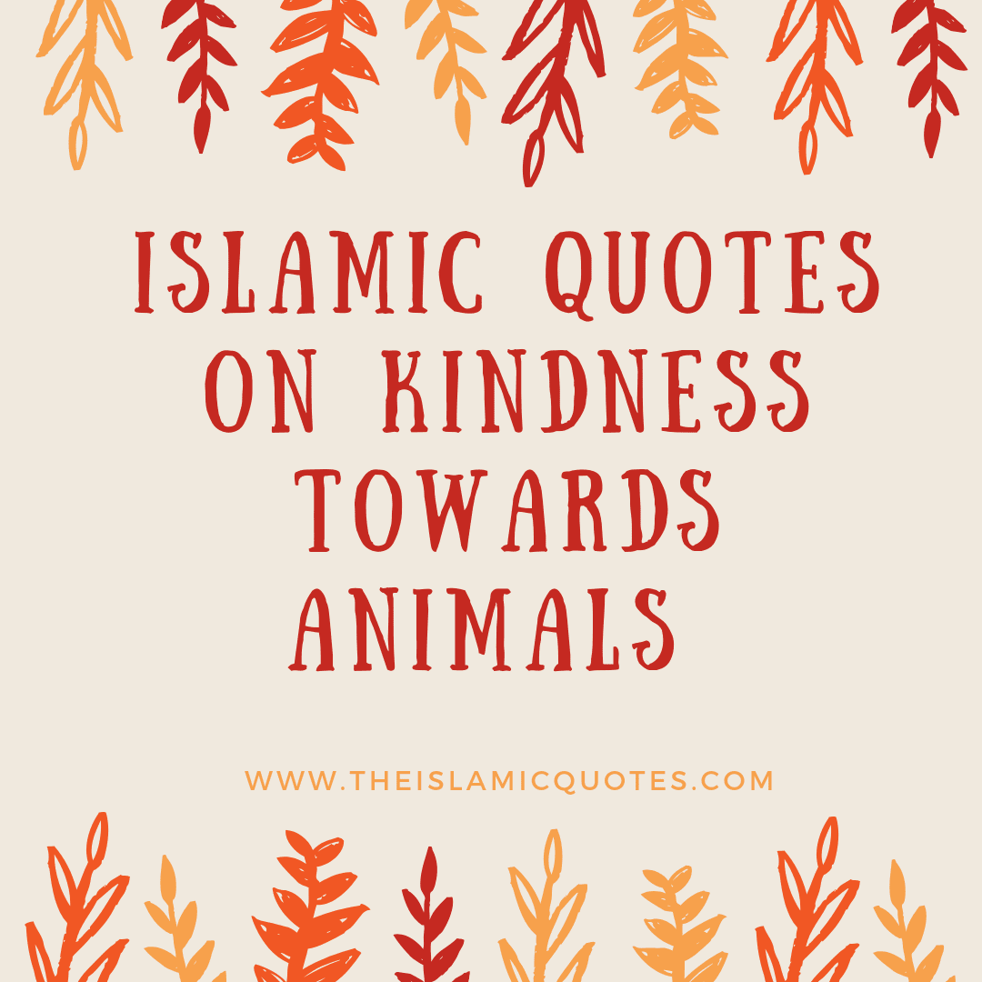 20 Islamic Quotes On Kindness To Animals 20 Islamic Quotes On Kindness To Animals